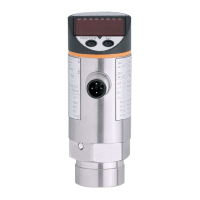 Preview: IFM Electronic PN50 Series