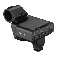 Preview: Sony XLR-A3M