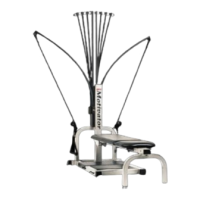 Preview: Bowflex Motivator