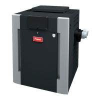 Preview: Rheem Raypak R207A