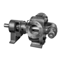 Preview: Viking pump 323A Series