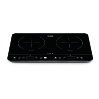 Preview: Double Induction Hob