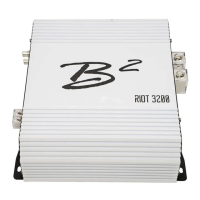 Preview: B2 Audio RIOT 3200