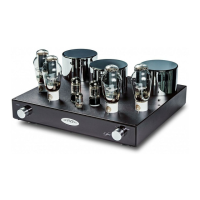 Preview: Fezz Audio Lybra 300 B