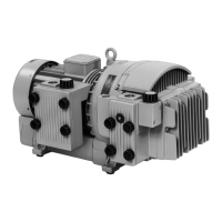 Preview: Rietschle TR-DVV Series