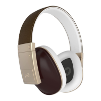 Preview: Polk Audio Buckle