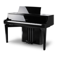 Preview: Kawai Novus NV10S
