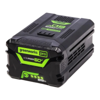 Preview: GreenWorks Pro LB602