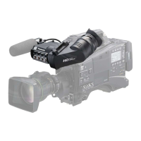 Preview: Panasonic AG-CVF10G