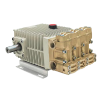 Preview: Bertolini C300 Series