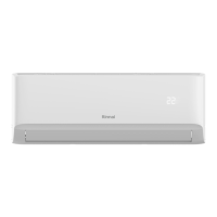 Preview: Rinnai P Series