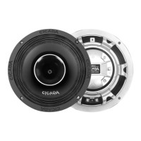 Preview: Cicada Audio CH Series