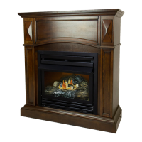 Preview: pleasant hearth VFF-PH20LPB
