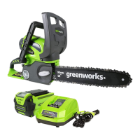 Preview: GreenWorks CSF301