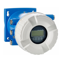 Preview: Endress+Hauser NRF81