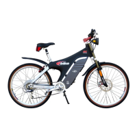 Preview: EV Global Motors E-Bike 24V