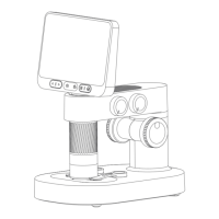 Preview: BeaverLAB DDL-M2
