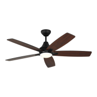 Preview: Lowden 5LWDR52 D Series