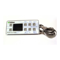 Preview: Balboa Deluxe Digital Control