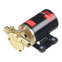 Preview: Johnson Pump F2P10-19 1/2 slang 12 V