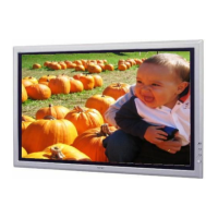 Preview: Sony PFM-42X1