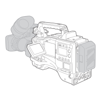 Preview: Panasonic AJ-SPX900e