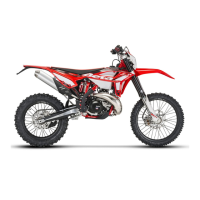 Preview: Beta RR 250