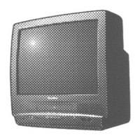 Preview: Quasar VV-1308