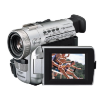 Preview: Panasonic Palmcorder PV-DV401