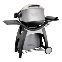 Preview: Weber Q 300 Series