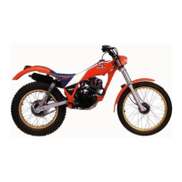 Preview: Honda TLR250