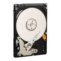 Preview: Scorpio Blue WD7500BPVT