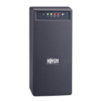 Preview: Tripp Lite OMNIVS800