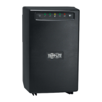 Preview: Tripp Lite OMNIVS1500XLTAA