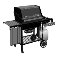 Preview: Weber LP Gas Barbecue