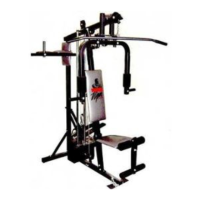 Preview: Weider Viper 2000