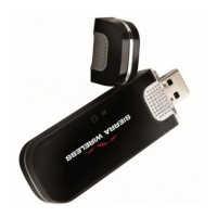 Preview: Sierra Wireless USB 308