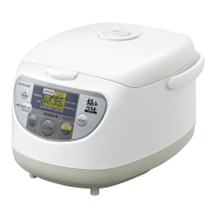 Preview: Hitachi RZ-PMA10