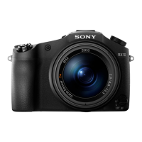 Preview: Sony Cyber-shot DSC-RX10