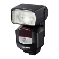 Preview: Sony HVL-F43M