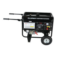Preview: LIFAN	 Power USA AXQ1-200A