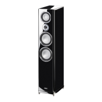 Preview: Magnat Audio Quantum 1009