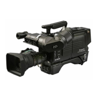 Preview: Ikegami HC-HD300