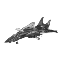 Preview: Grumman F-14A Black Tomcat
