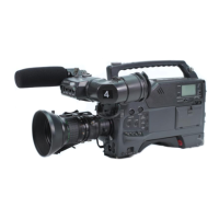 Preview: Sony UVW-100P