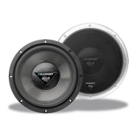 Preview: Blaupunkt Velocity VW1000