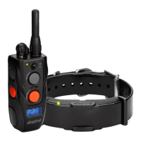 Preview: Remote Controlled Dog Training Collars