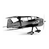 Preview: E-FLITE Beast 60e