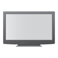Preview: Panasonic TH-P42X10D