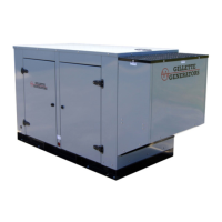 Preview: Gillette Generators SP-200